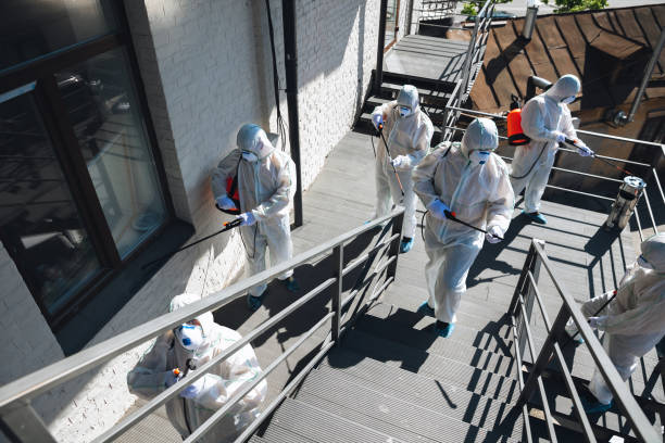 Best Attic Mold Removal  in Forest Hill, TX