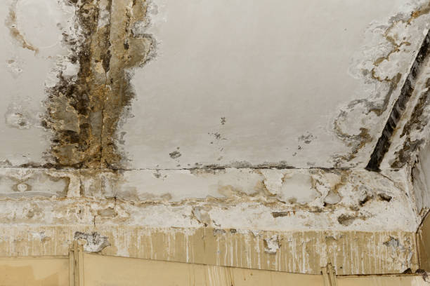 Best Post-Remediation Verification Testing  in Forest Hill, TX
