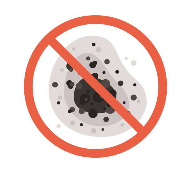 Best Airborne Mold Testing  in Forest Hill, TX
