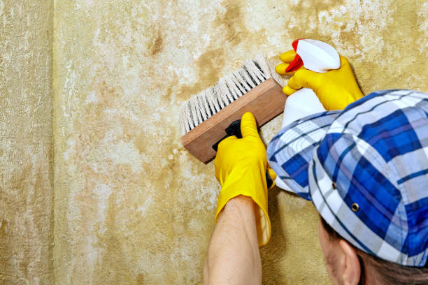Best Dehumidification Services  in Forest Hill, TX