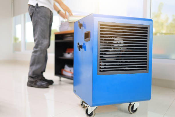 Best Water Damage & Mold Remediation  in Forest Hill, TX