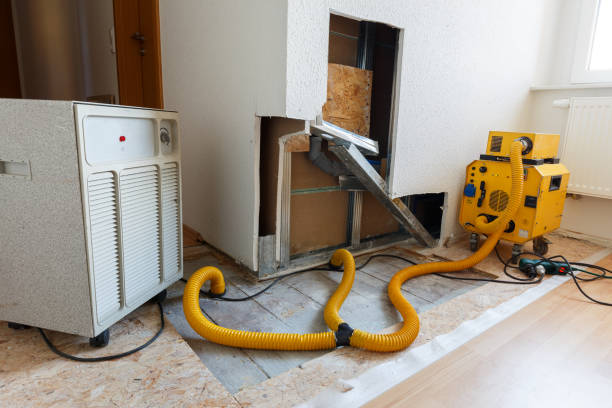 Best Industrial Mold Remediation  in Forest Hill, TX