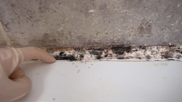 Best Indoor Air Quality Assessment  in Forest Hill, TX